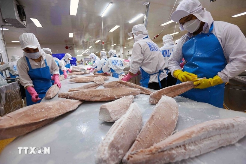 Vietnam’s aquatic exports surge toward US$10 bln amid trade hurdles
